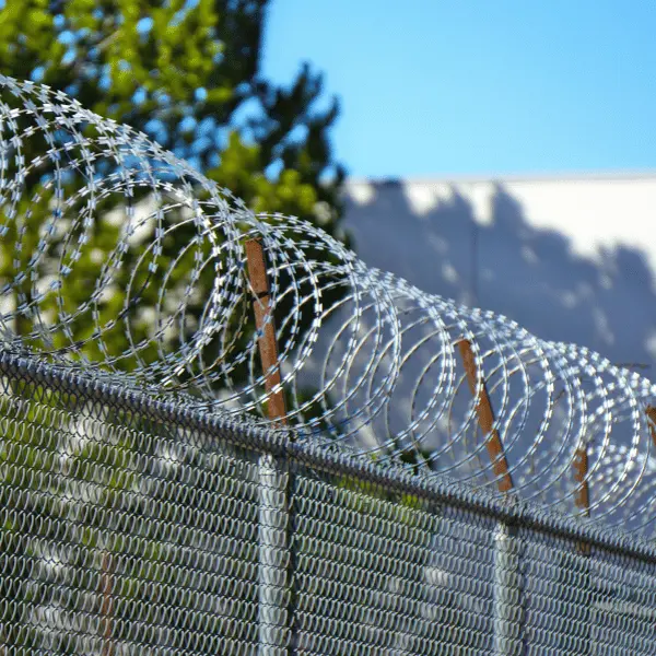 Concertina Wire