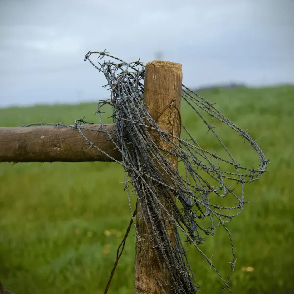 barbed wire with wooden pole